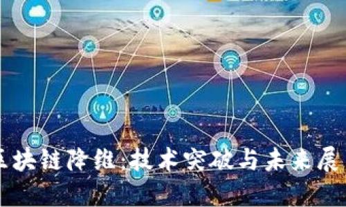 區(qū)塊鏈降維：技術(shù)突破與未來(lái)展望