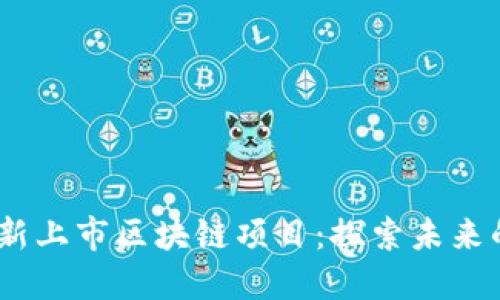 2023年最新上市區(qū)塊鏈項目：探索未來的投資機(jī)會